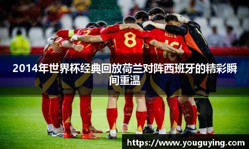 2014年世界杯经典回放荷兰对阵西班牙的精彩瞬间重温